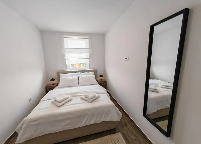 Zenith * Veliko Gradište